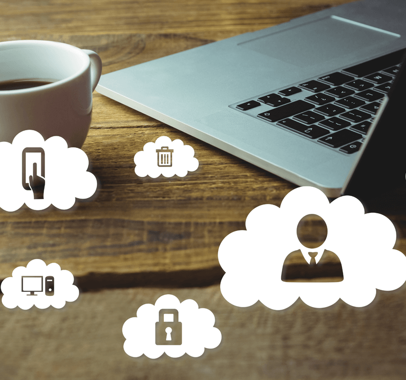 wordpress hosting
